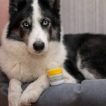Крем питательный для любимых лап "Мягколап" Pure Perm, 40 мл — изображение 2