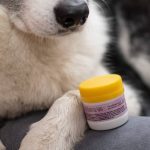 Крем лечебный для любимых лап "Лапоспас" Pure Perm, 40мл — изображение 4