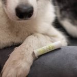 Крем питательный для любимых лап "Мягколап" Pure Perm, 5мл — изображение 5